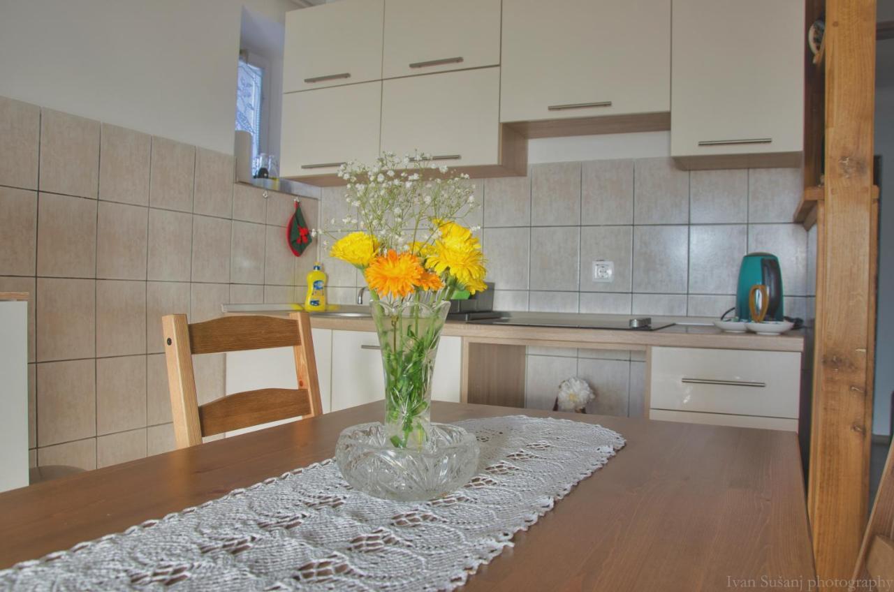 Apartment Rasce Ogulin Exterior foto